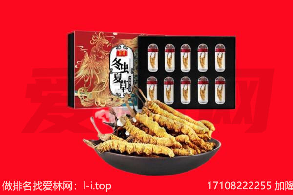 常德回收虫草.jpg